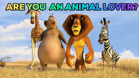 Are you an animal lover?