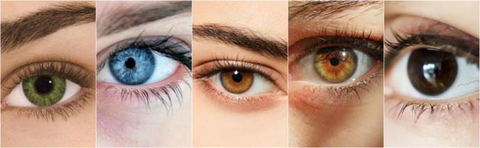 Which eyecolor do you think is the most eyecatching and beautiful?