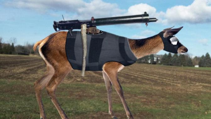 Should deer be allowed to carry guns?