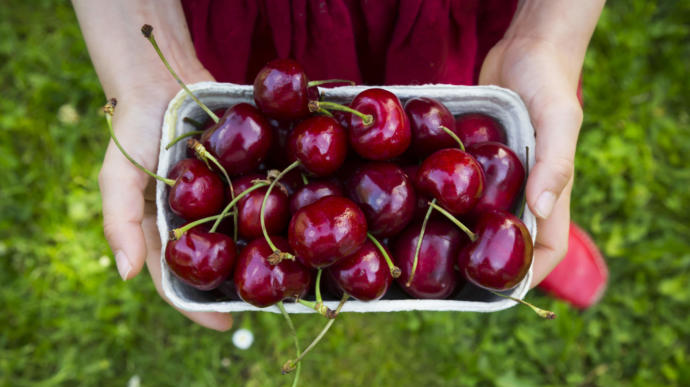 Do you like cherries?