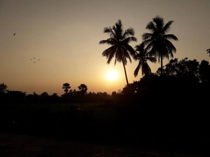 Whats take snap favourite?