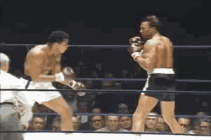 Who was the greatest heavyweight boxer of all time-- Joe Louis or Muhammad Ali?
