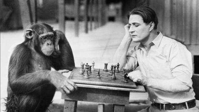 Is Humans The Worst Specie On Earth?