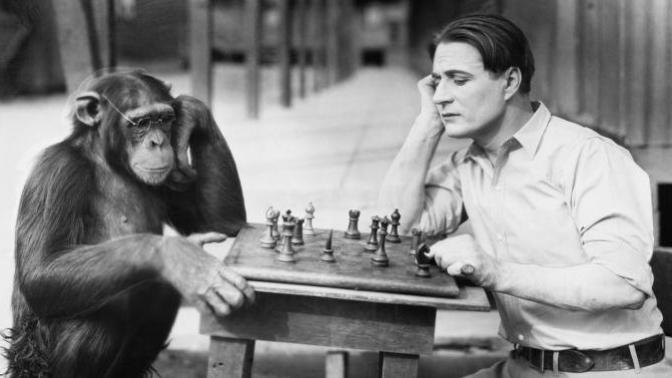 Is Humans The Worst Specie On Earth?