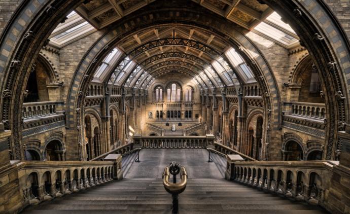 Would you rather game: You find a realm in a rarely opened door in a library. What would you do first?