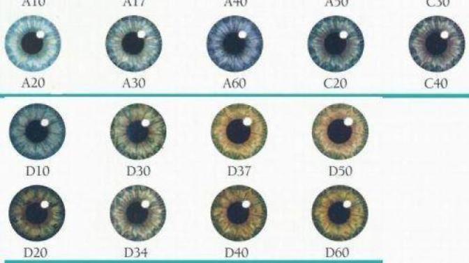 What is your eye color?