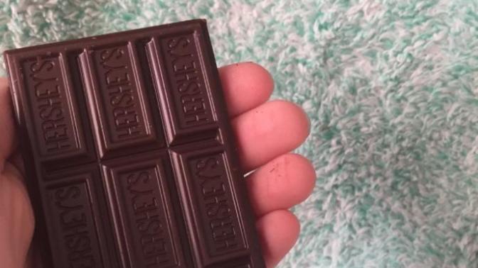 Would You Eat This Chocolate?