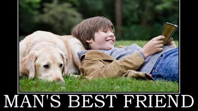 How true is the saying ''a dog is a man's best friend''?