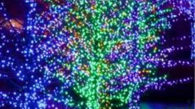 When do you put on your Christmas lights and trees?