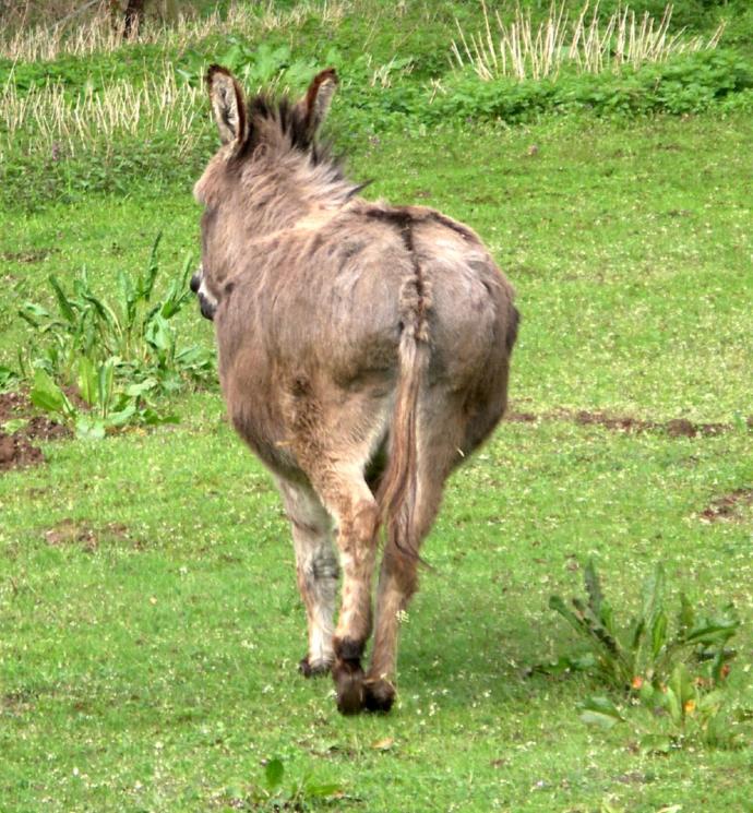 Girls, Would you rate my ass?