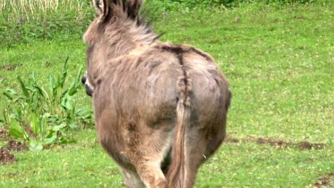 Girls, Would you rate my ass?