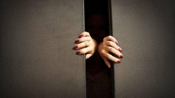 Would You Rather Be Trapped In An Elevator Full Of Men With BO Or Three Soaked Dogs?