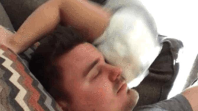 Is it normal to fantasize about placing a pillow over my BF's face & keeping it there until he finally realizes he's ready to settle down & marry me?