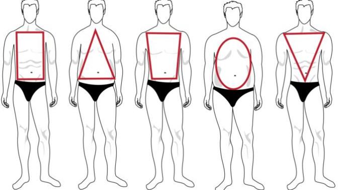 Ladies, what upper body shape do you find most attractive?
