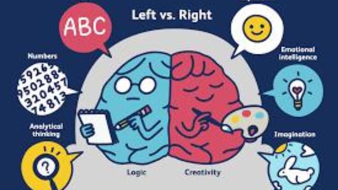 Are You More Right-Brained or Left-Brained?