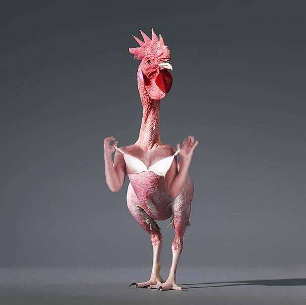 If you could morph two animals to make one super animal, what two animals would you choose? Why?