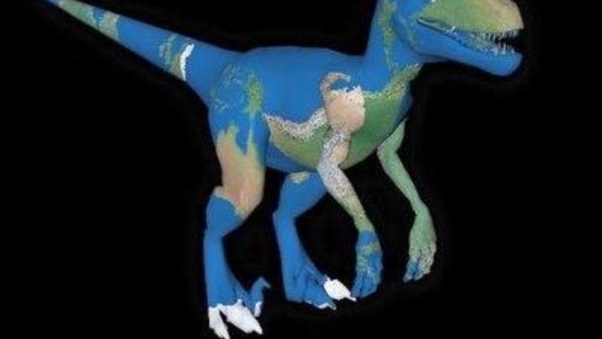 Why are people so dumb and blelive in the flat earth theory?