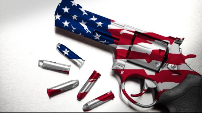 Agree or Disagree: Norway has higher gun murder rate than the US?