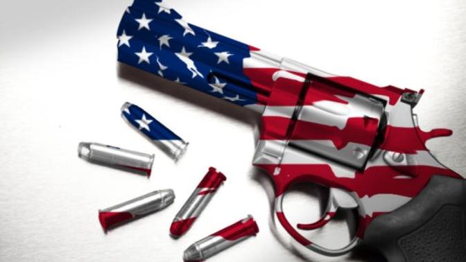 Agree or Disagree: Norway has higher gun murder rate than the US?