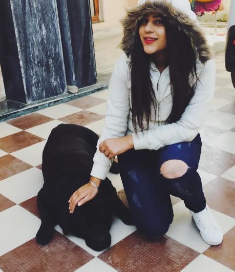 How is this dog? Can u guess which breed it is?