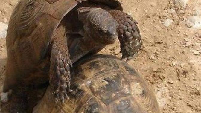 What do you mean when you say "we are taking things real slow!"?
