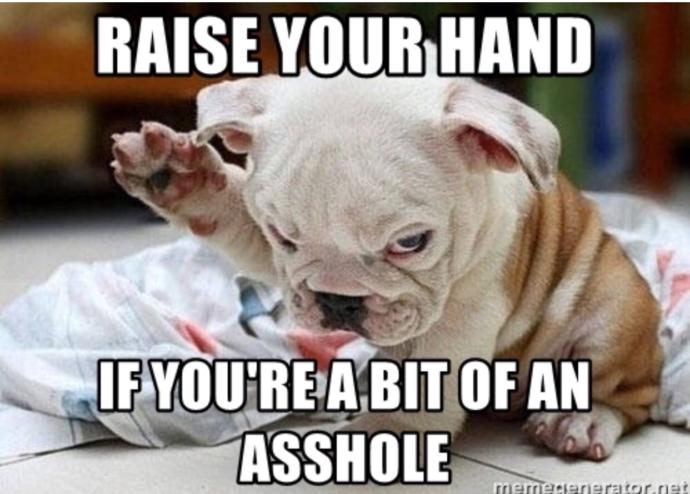 Animal lovers: Do you have pets? Would anyone like to share their pets with GaG?