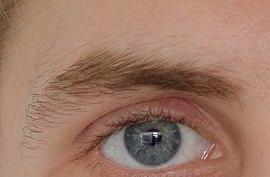 Hooded eyes vs normal eyes (on men): which is more attractive?