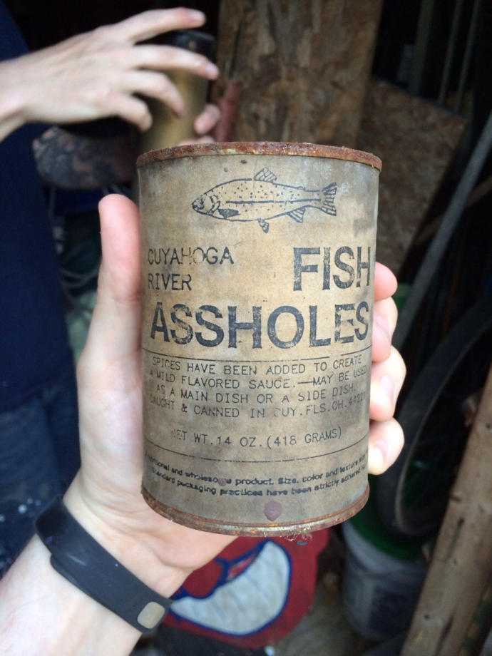 Do you like fish sticks?