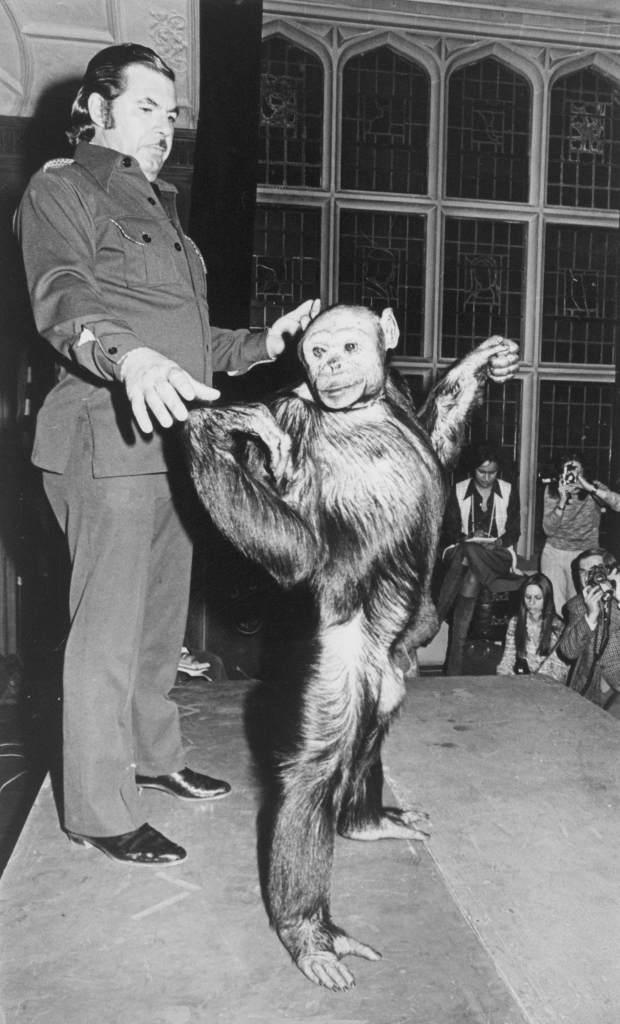 Oliver, the 'Humanzee'