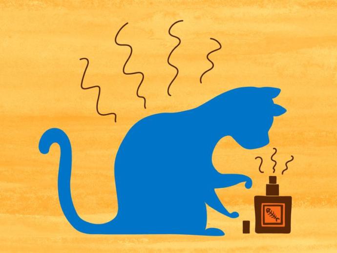What are your pet peeves?