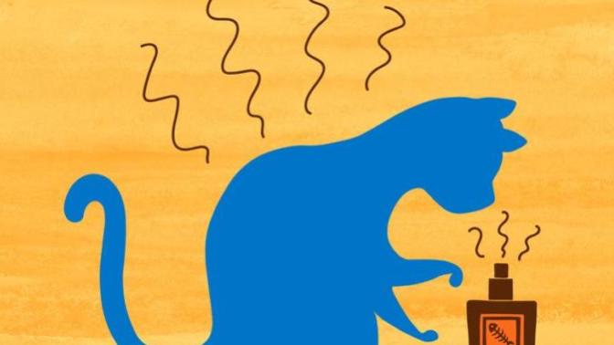 What are your pet peeves?