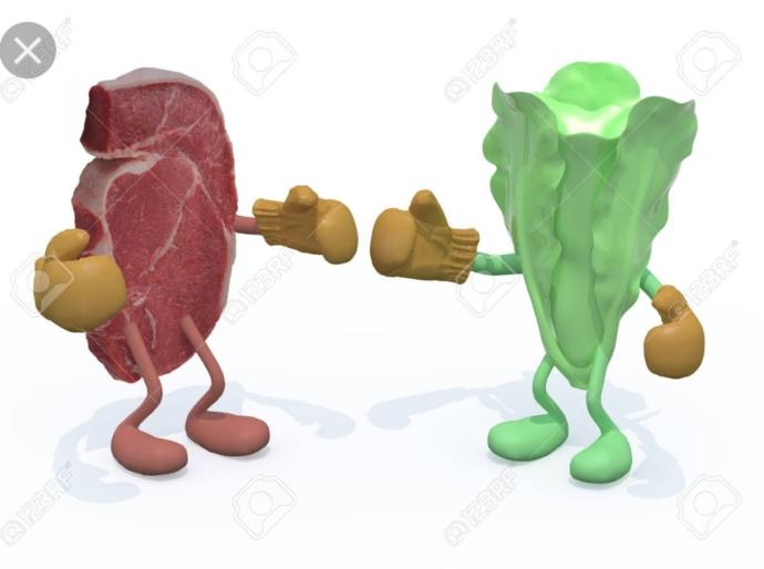 Why do SOME people hate on vegetarians/vegans and the same with why do SOME people hate on meat-eaters?