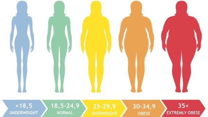 Whats your BMI?