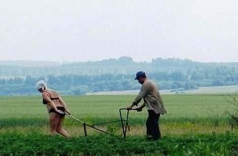 Men!, Country girl or city girl?