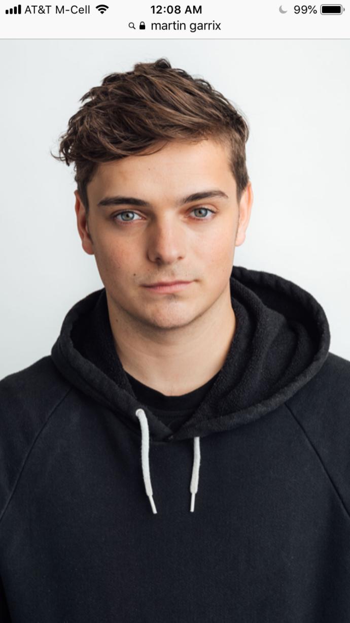 Is Martin Garrix attractive to you?