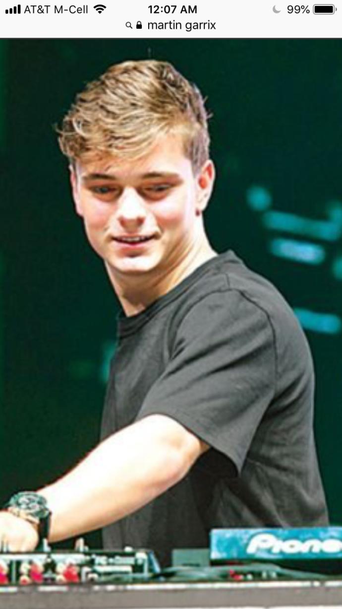 Is Martin Garrix attractive to you?
