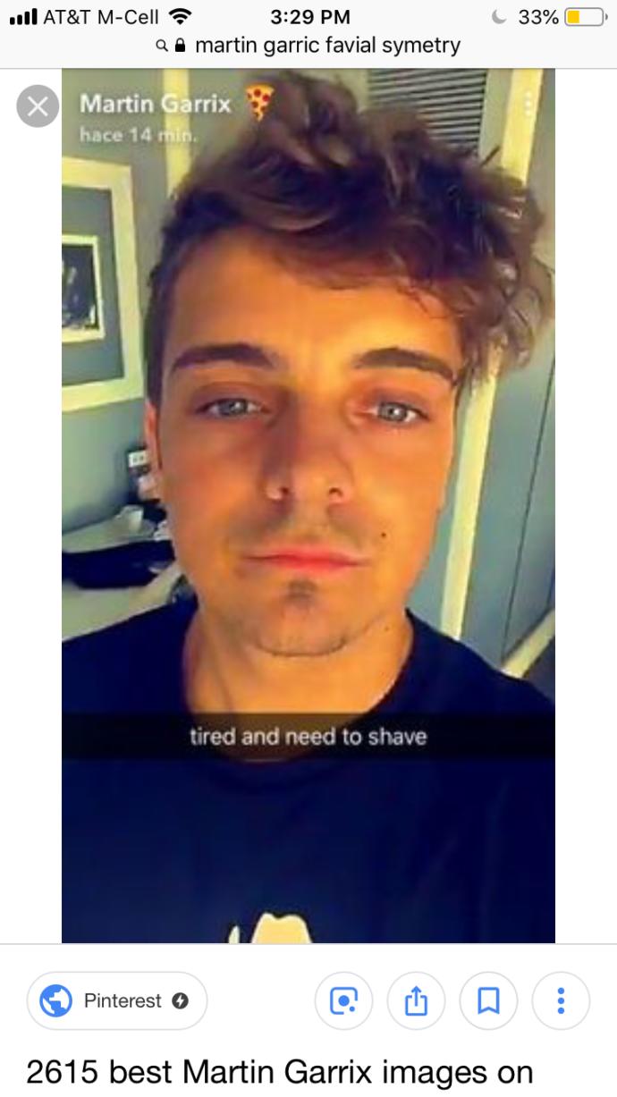 Is Martin Garrix attractive to you?