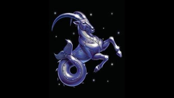 What do you think of Capricorn peoples?