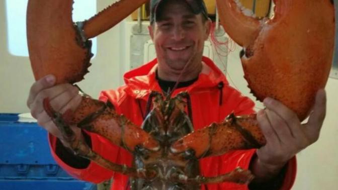Which would you rather have? A giant lobster or a giant cheeseburger?