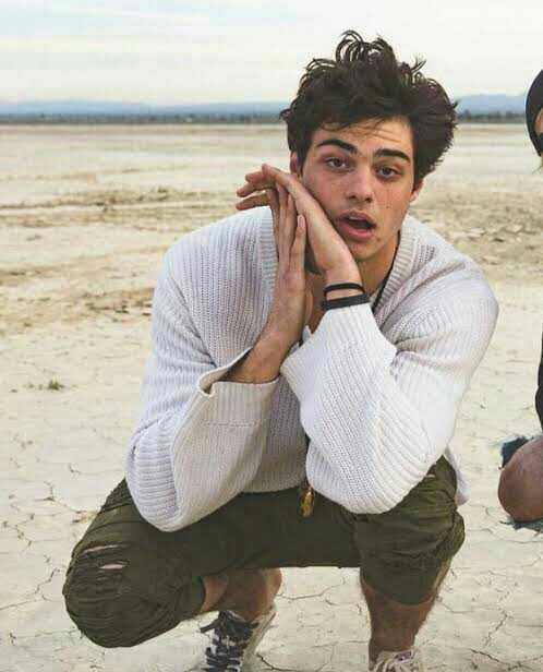 Do you find Noah Centineo attractive?