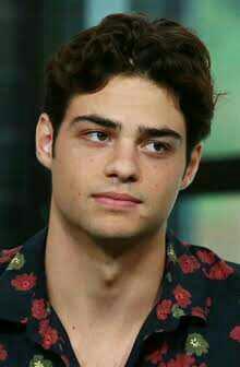 Do you find Noah Centineo attractive?