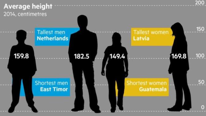 What's the ideal height?