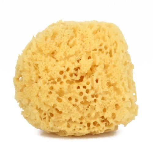 Was thinking bout buying a makeup sponge for a Christmas present. Wanted to know what ones better in your opinion? What makeup sponge do you use?