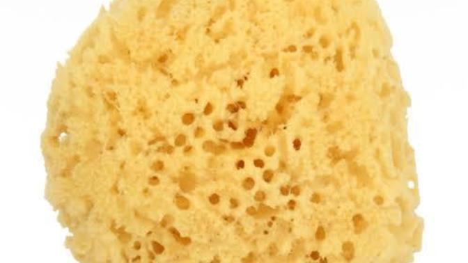 Was thinking bout buying a makeup sponge for a Christmas present. Wanted to know what ones better in your opinion? What makeup sponge do you use?
