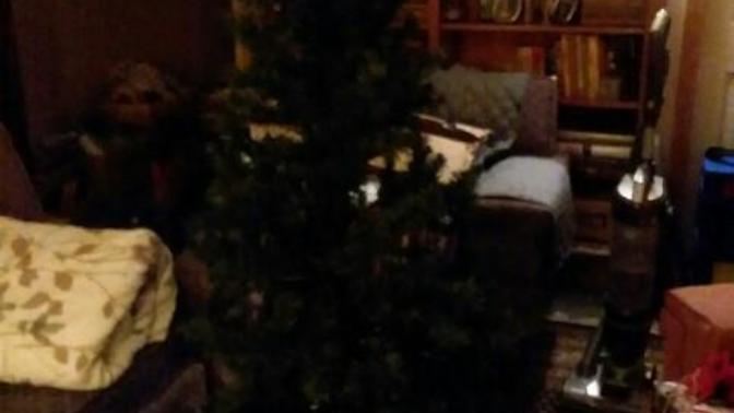 How does your Christmas tree look?