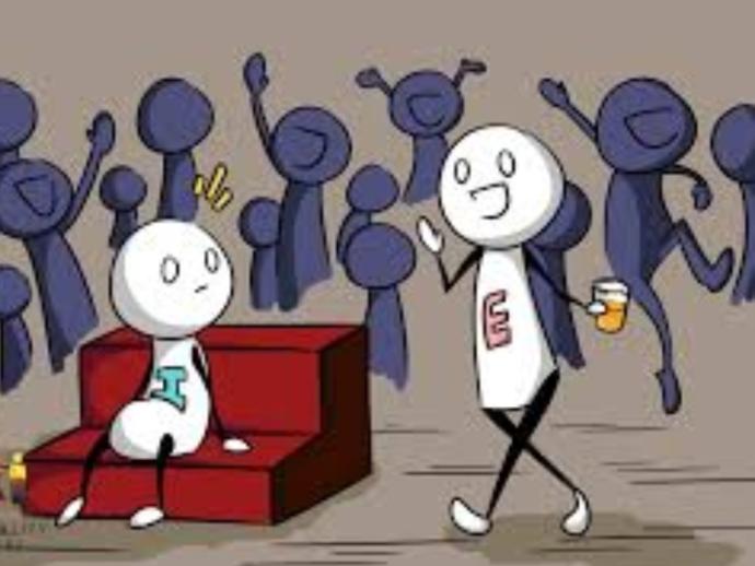 Would you prefer an extroverted partner or an introverted partner?