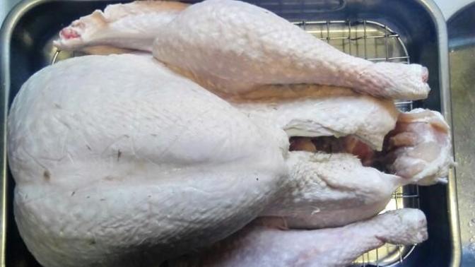 How big's your bird?