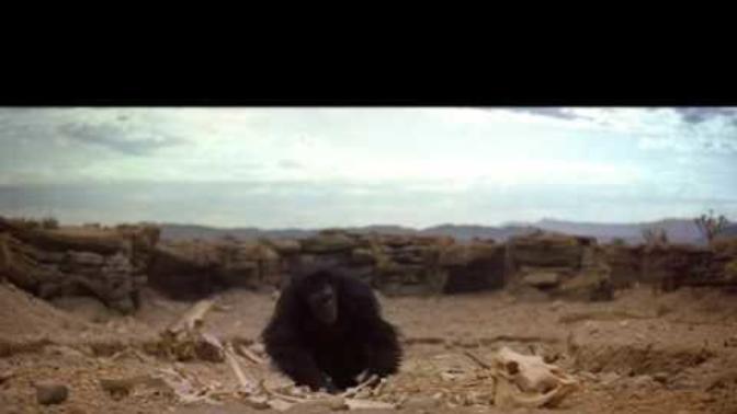 What do you think about evolution theory?