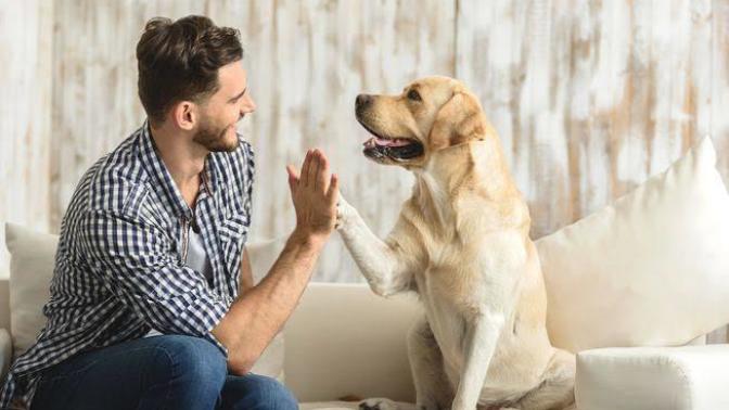 Do you think there should be a different category to post questions about animals?