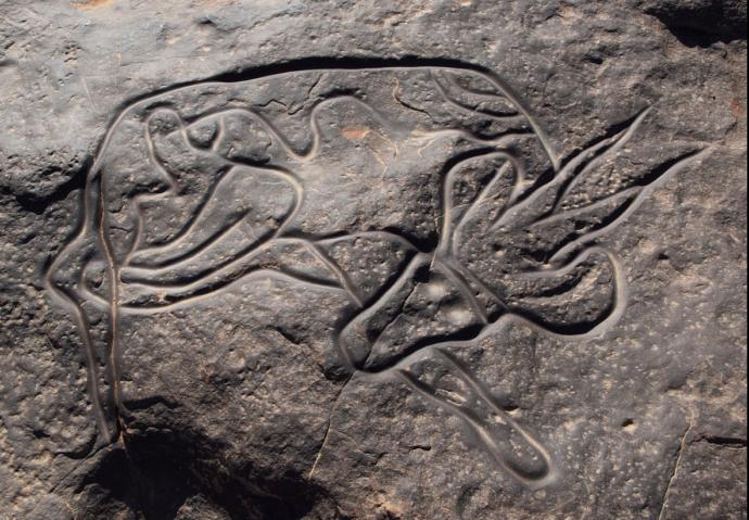 Would you want to visit cave paintings in Africa?